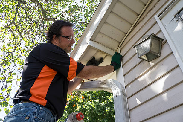 Professional Siding Installation & Repair in Gulfport, FL
